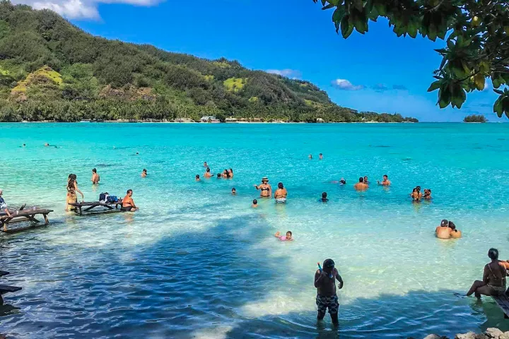 a group of people swimming in a body of water