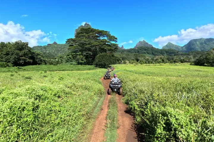 ATVs driving on a dirt path through lush greenery with mountains in background under blue sky.