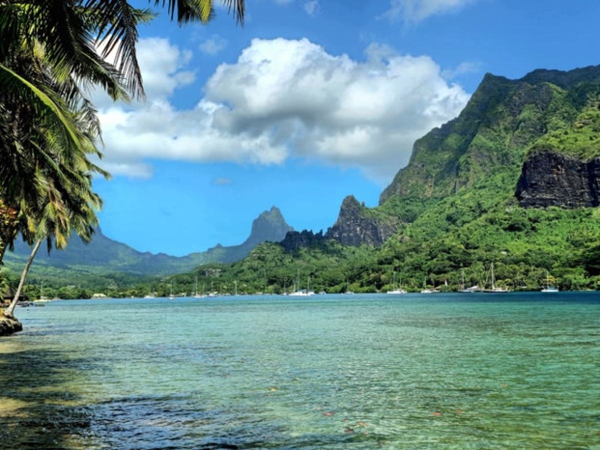 Tropical landscape with palm trees, turquoise water, and lush mountains under a blue sky.