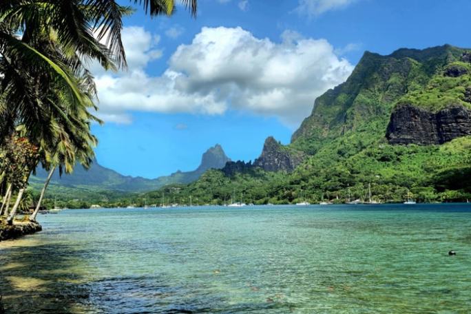 Tropical landscape with palm trees, turquoise water, and lush mountains under a blue sky.
