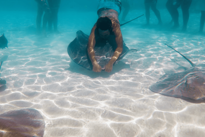 a fish swimming under water