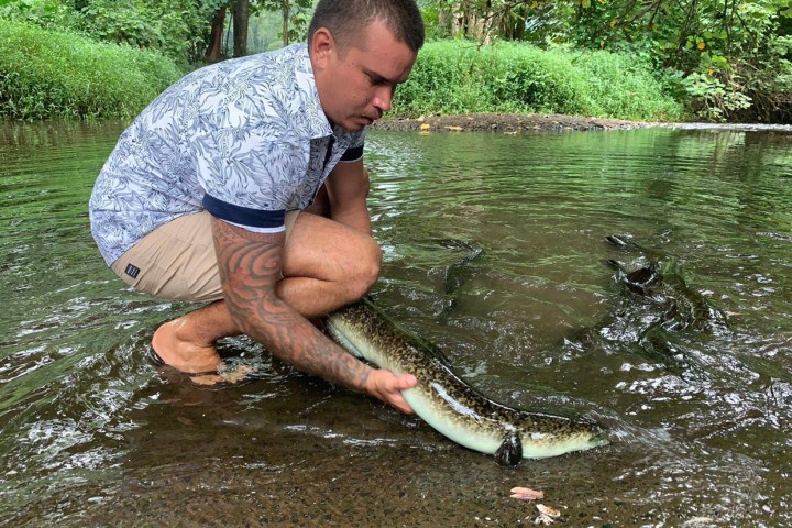 a man holding a fish in the water