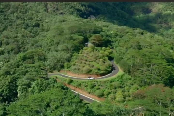 a close up of a lush green forest