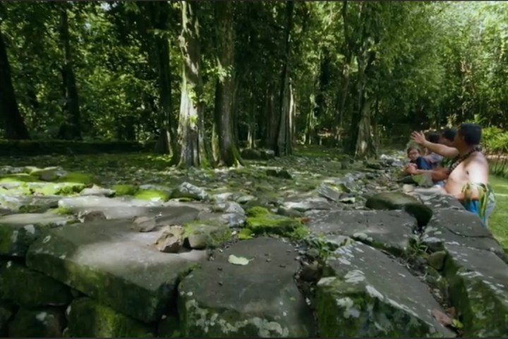 a man with a waterfall in a forest