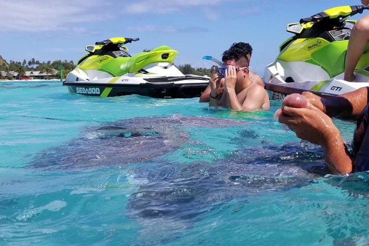 a group of people swimming in a body of water