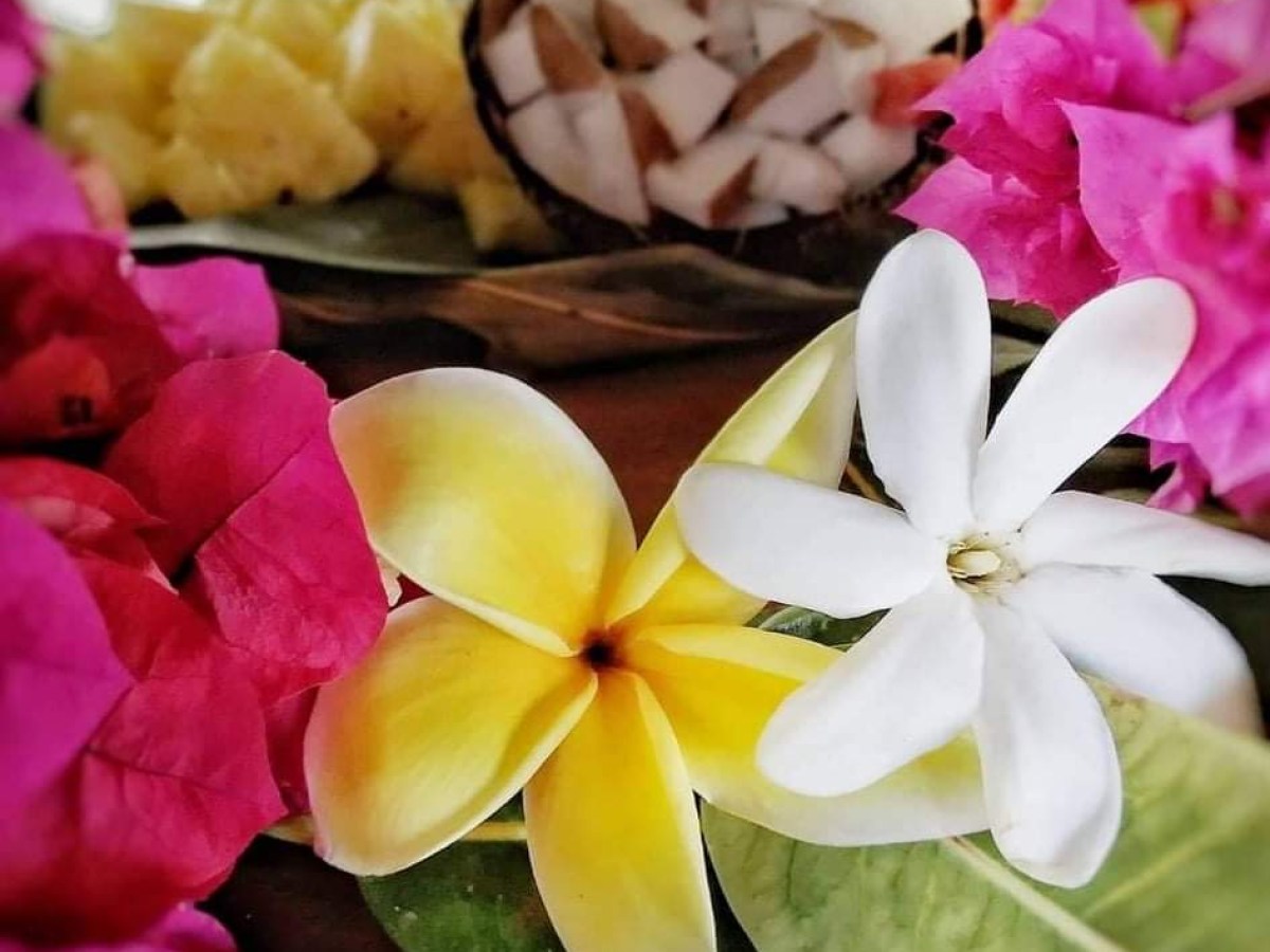 a close up of a flower