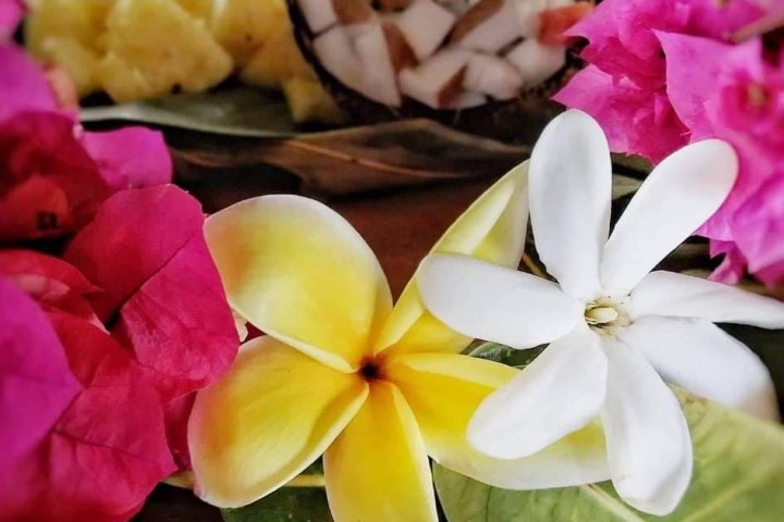 a close up of a flower