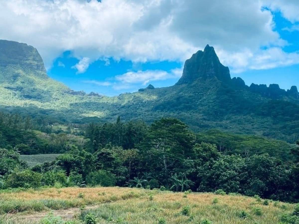 Lush green landscape with mountains and a partly cloudy sky.