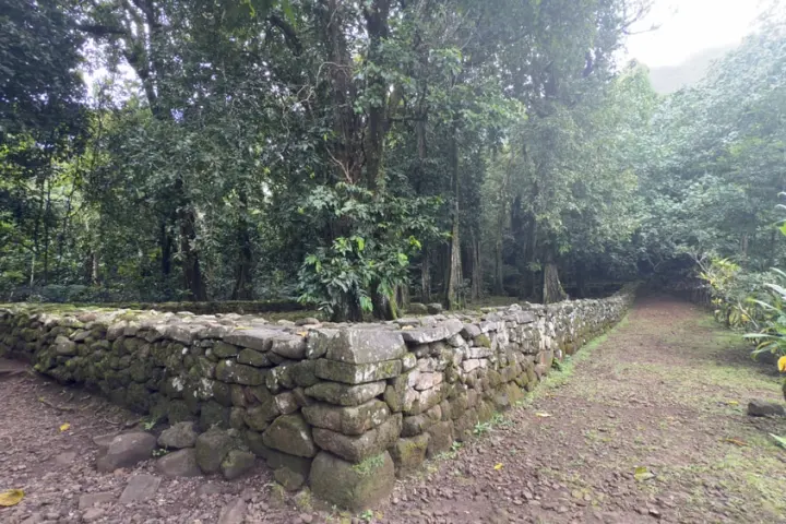 Old stone wall in a dense forest with a dirt path on the right.
