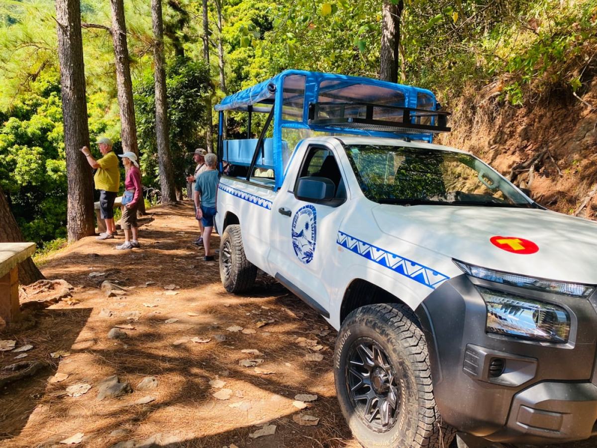 People standing near trees and a white pickup truck with a blue canopy on a forest path.
