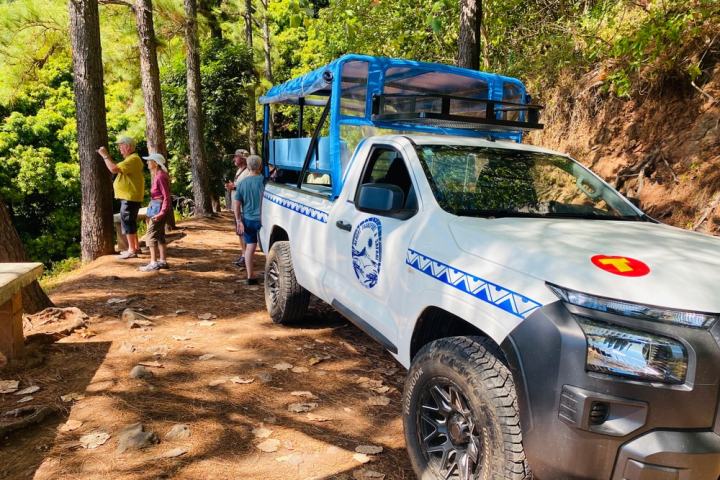 People standing near trees and a white pickup truck with a blue canopy on a forest path.