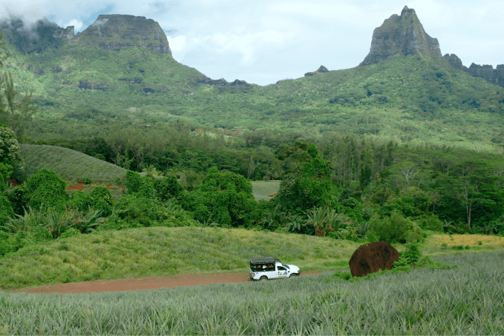a large green field with a mountain in the background