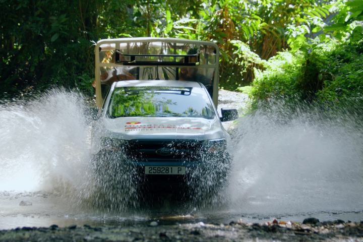 a car driving through water