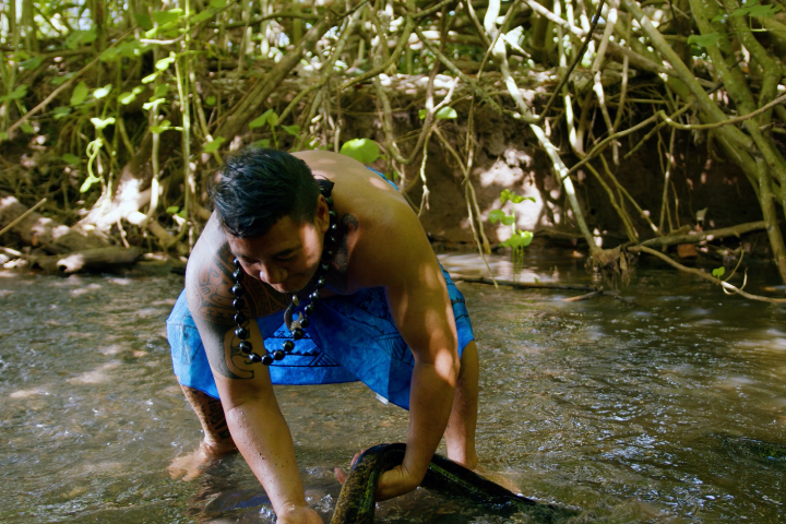 a person riding a surf board in the water