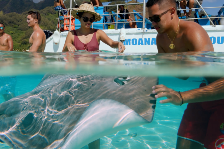 a group of people swimming in a pool of water